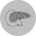 C25 Trzustka