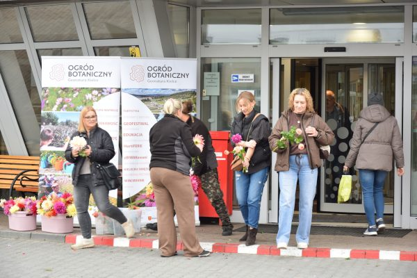 dalie-z-ogrodu-botanicznego-dla-pacjentek-sco-11
