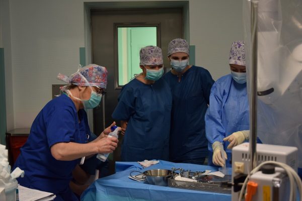 Warsztaty_robotyczne_Dr_Okła (5)