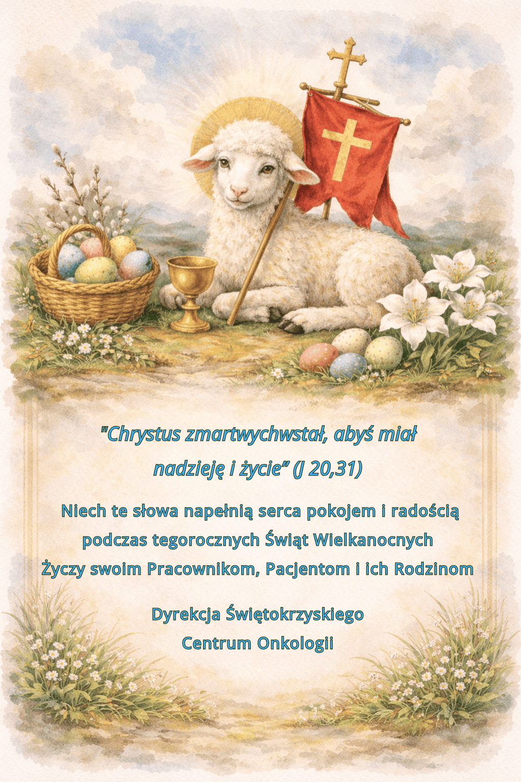 baranek jasny 2