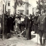 Otwarcie Instytutu Radowego, 1932r. Maria Skłodowska - Curie sadzi jedno z sześciu pamiątkowych drzew w ogrodzie Instytutu